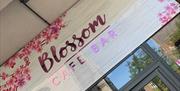 Blossom Cafe Bar