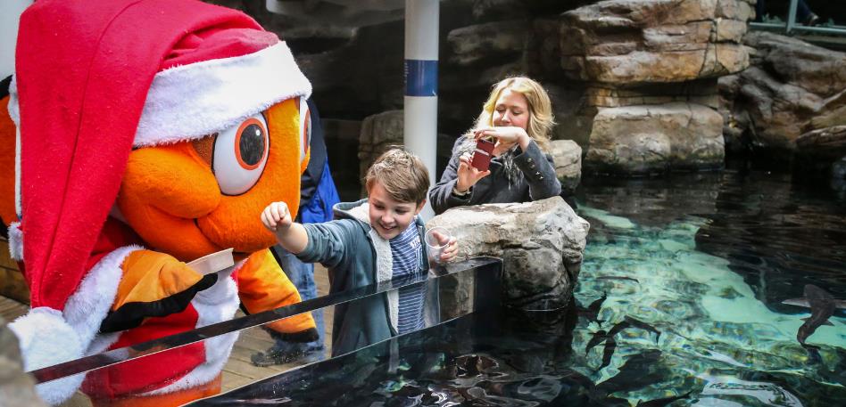 Charlie the Clownfish Mascot by Aquarium tank with child
