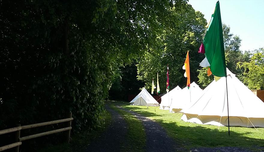 Brook Lodge Farm Camping tents