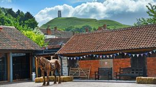 Somerset Rural Life Museum - Horse Sculpture and Barn