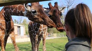 Animal Experiences at Bristol Zoo Project
