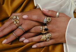 Female hands adorned with gold and silver rings