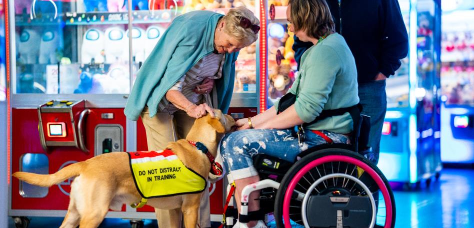 Grand Pier Child in a wheelchair with a guide dog with two people at the Arcade