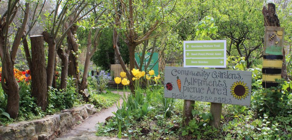 Green Bristol: Windmill Hill City Farm community garden