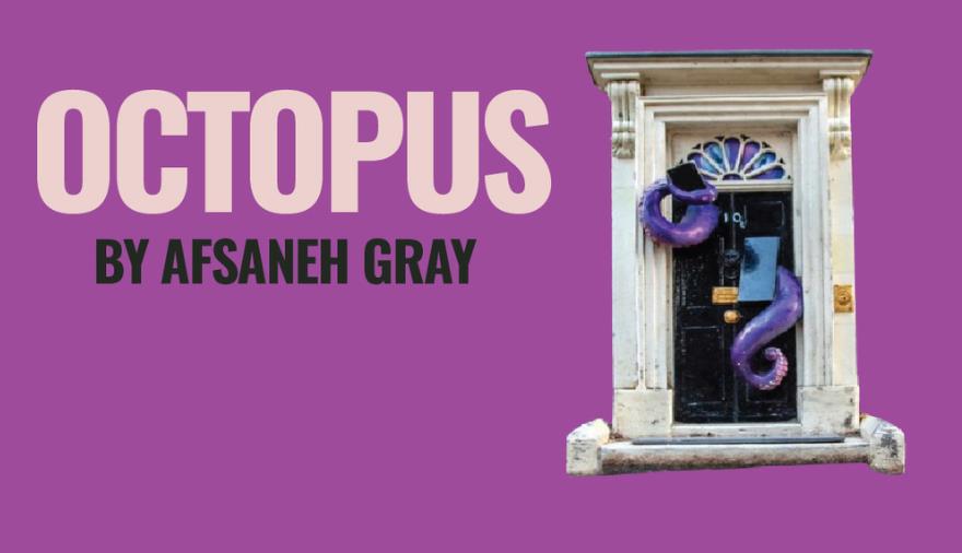 Octopus by Afsaneh Gray at The Wardrobe Theatre poster