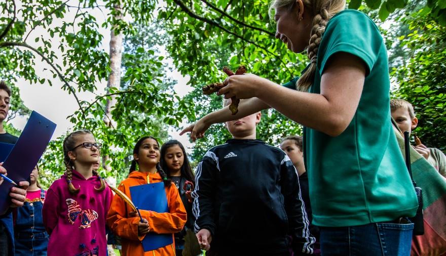 Arboretum Apprentice: Children's Summer Learning Series at Westonbirt
