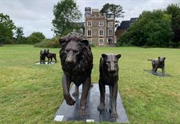 Born Free Forever Lion Sculptures at The Downs

