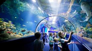 Children in tunnel at Bristol Aquarium