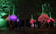 Large bright light installations in forest