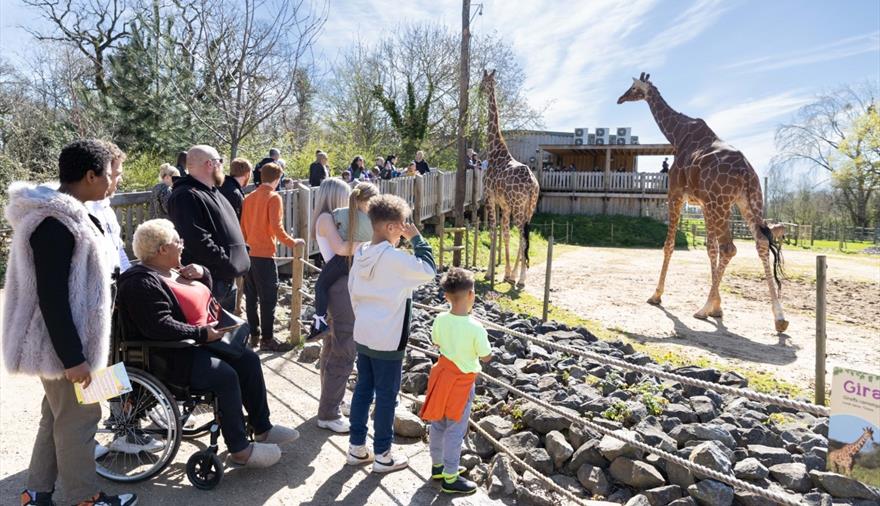 diverse family at giraffe exhibit