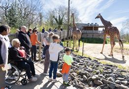 diverse family at giraffe exhibit