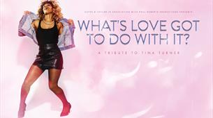 What's Love Got To Do With It? A Tribute To Tina Turner at Bristol Hippodrome
