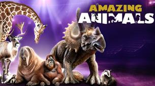 Amazing Animals poster