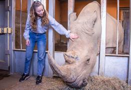 Animal Experiences at Noah's Ark Zoo Farm