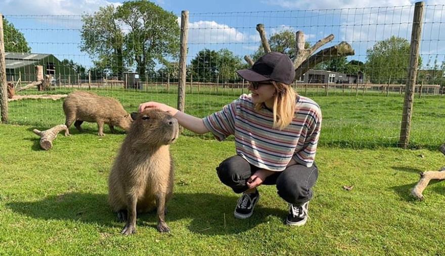 Animal Experiences at Chew Valley Animal Park