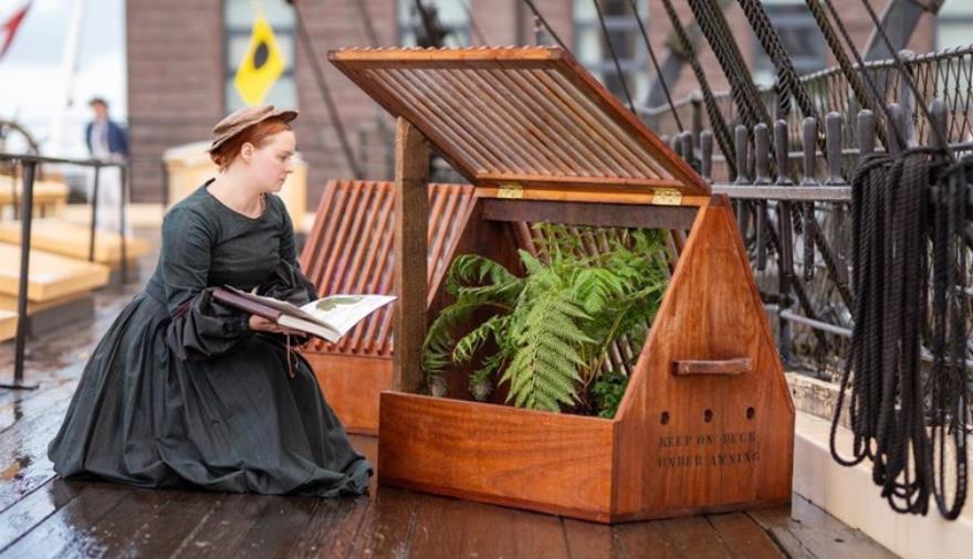 A victorian Wardian case on the deck of the SS Great Britain