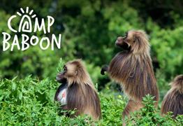 Camp Baboon Wild Place Project