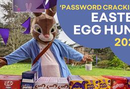 Password Cracking' Easter Egg Hunt
