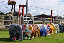 Elephant Parade® at Noah’s Ark Zoo Farm
