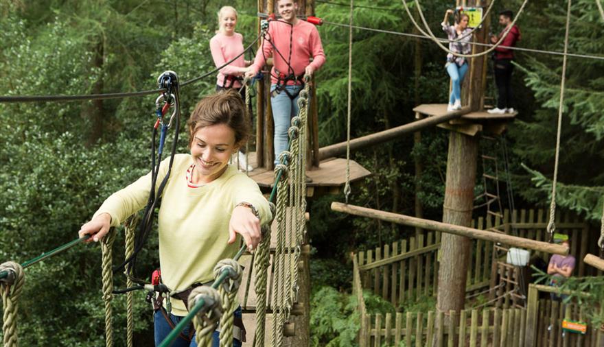 Go Ape - Forest of Dean