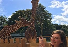 Giraffe Experience at Wild Place Project
