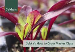 Jekka's How to Grow Master Class