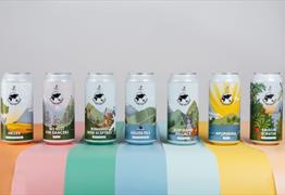 Lost and Grounded Brewers core range cans
