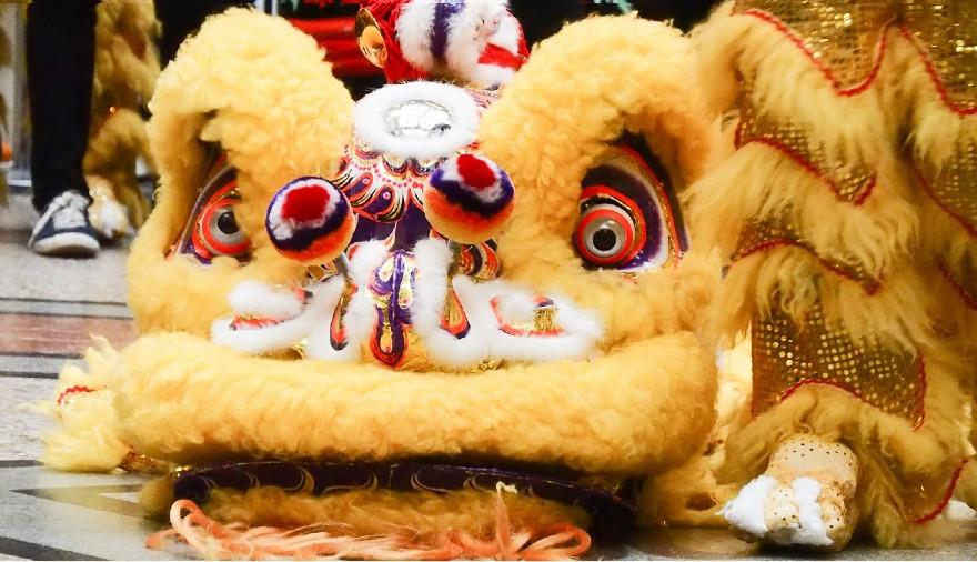 Lunar New Year Festival: Year of the Ox with Bristol Museum & Art Gallery
