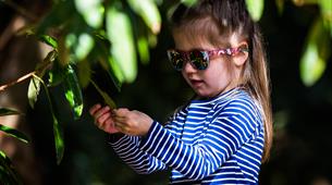 Child looking at leaf on a tree