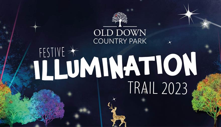 A poster advertising Old Down Country Park's Festive Illumination Trail 2023