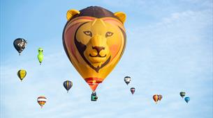 A balloon with a lioness face and ears surrounded by other balloons of various shapes and sizes 
