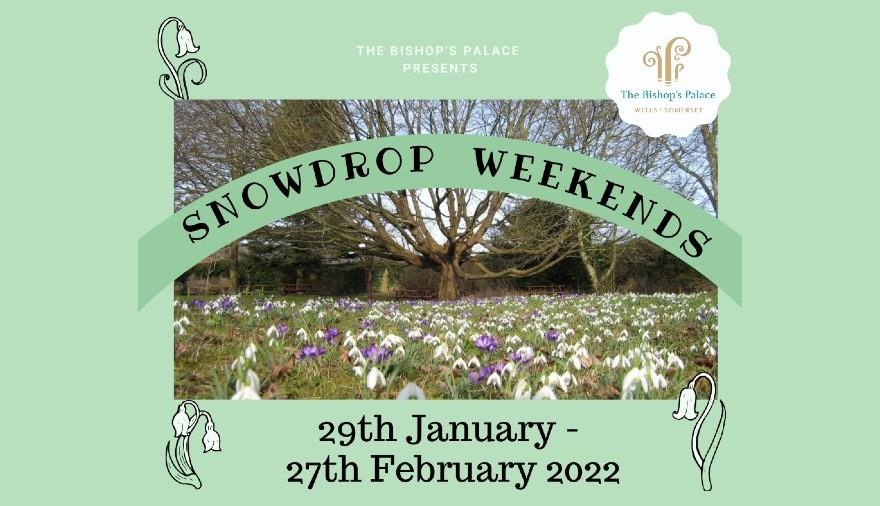 Snowdrop Weekends at The Bishop's Palace

