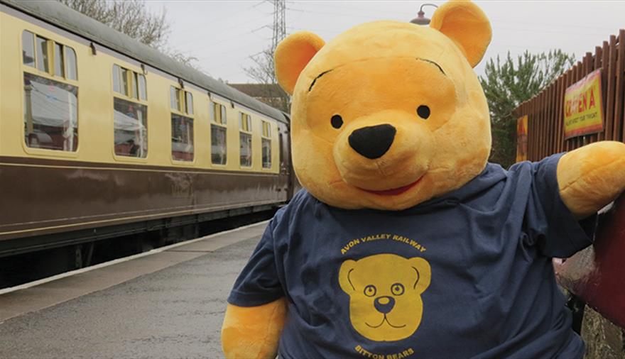 Teddy Bears Picnic at the Avon Valley Railway