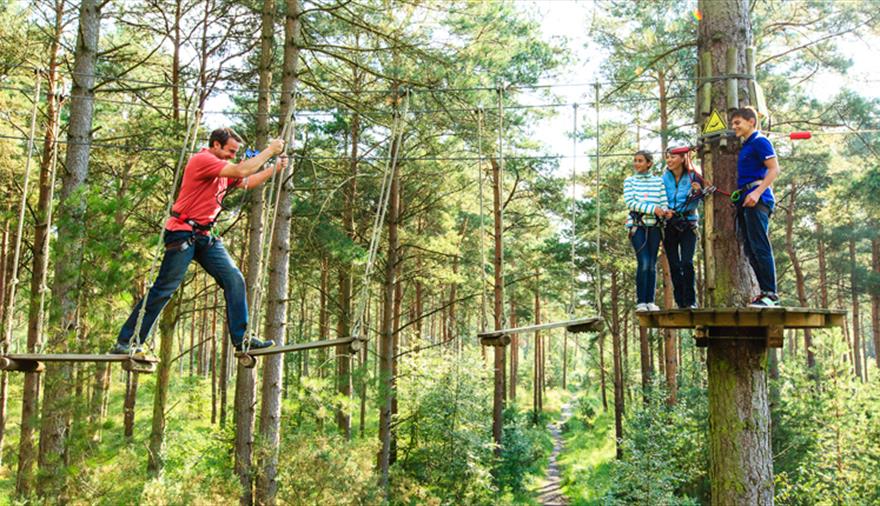 Tree Top Challenge at Forest of Dean