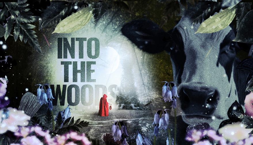 Publicity poster for Into the Woods at Redgrave Theatre