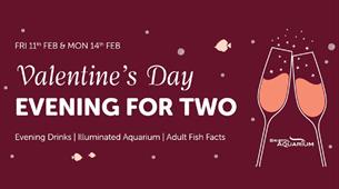 Valentine's Evening at Bristol Aquarium
