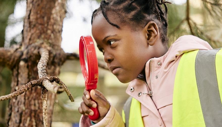 Little girl looking at a tree with a magnifying glass
