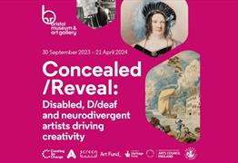 Concealed/Reveal poster