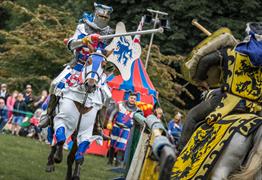 2 Knights jousting
