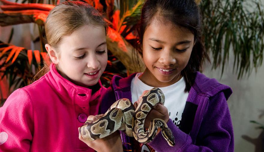 Reptile experience at Longleat