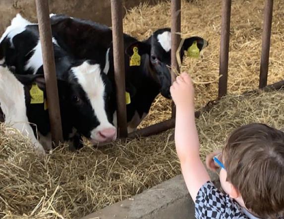 Bank of Ireland Open Farm Weekend