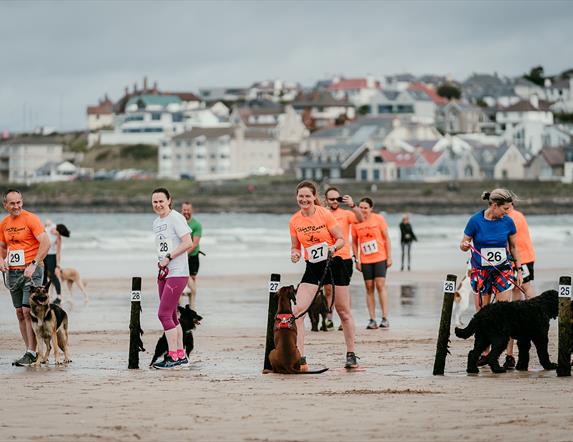 The Waggy Races start line