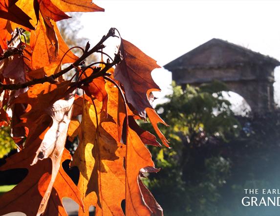 A photograph of Bishop's Gate gardens, Downhill Demesne.