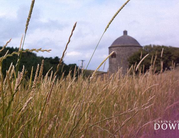 A photograph of the Walled Garden at Lion's Gate, Downhill Demesne.