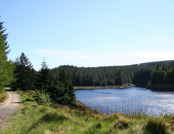 Banagher Glen