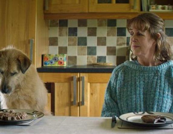 a woman and a dog sitting at a table with dinner plates in front of them. The woman is looking at the dog, the dog is looking at the plate.