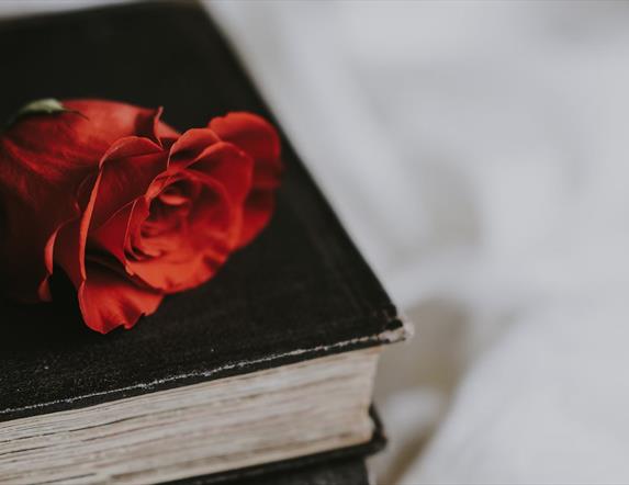 a red rose sitting on top of an old black book