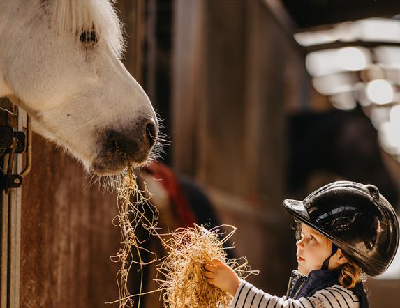 a child feeds day to a horse in a stable