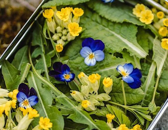 A metal tray full of various plants and flowers, mostly purple and yellow.