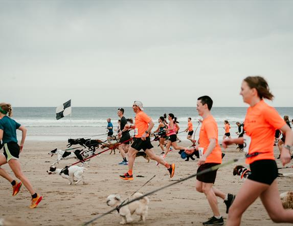 people run a race with their dogs on the beach